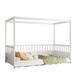 Option White
