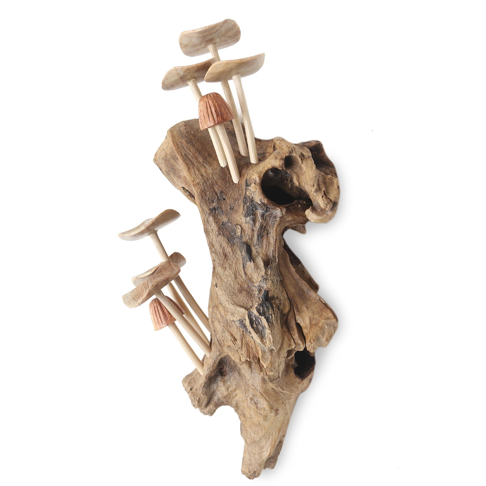 Novica Handmade Mushroom Garden Wood Sculpture