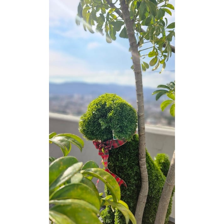 Topiary Outdoor / Indoor - Green - N/A