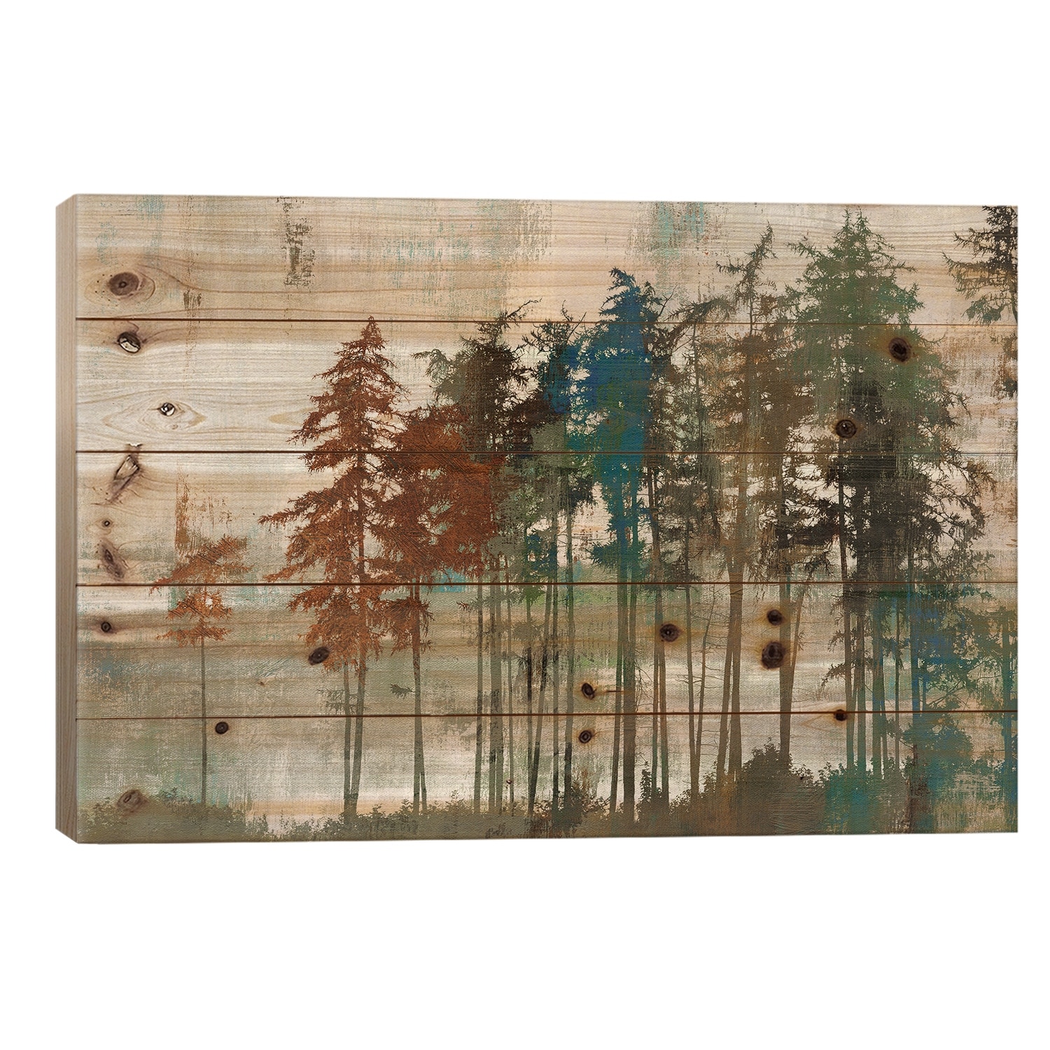 Aspen Print On Wood by PI Studio - Multi-Color