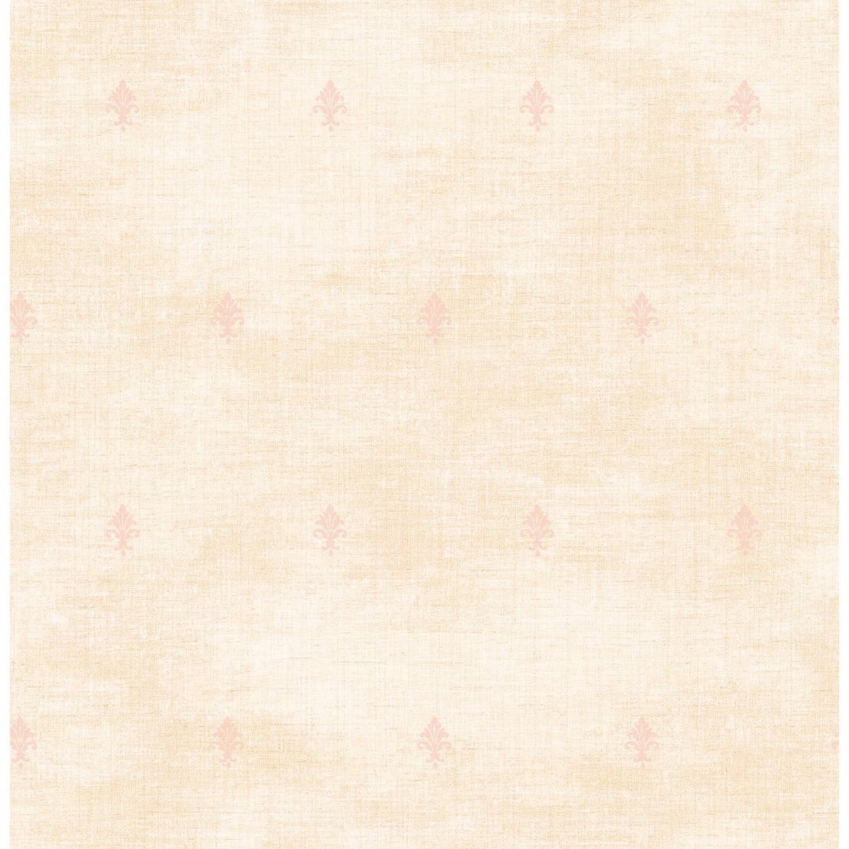 Option Shortbread & Blush