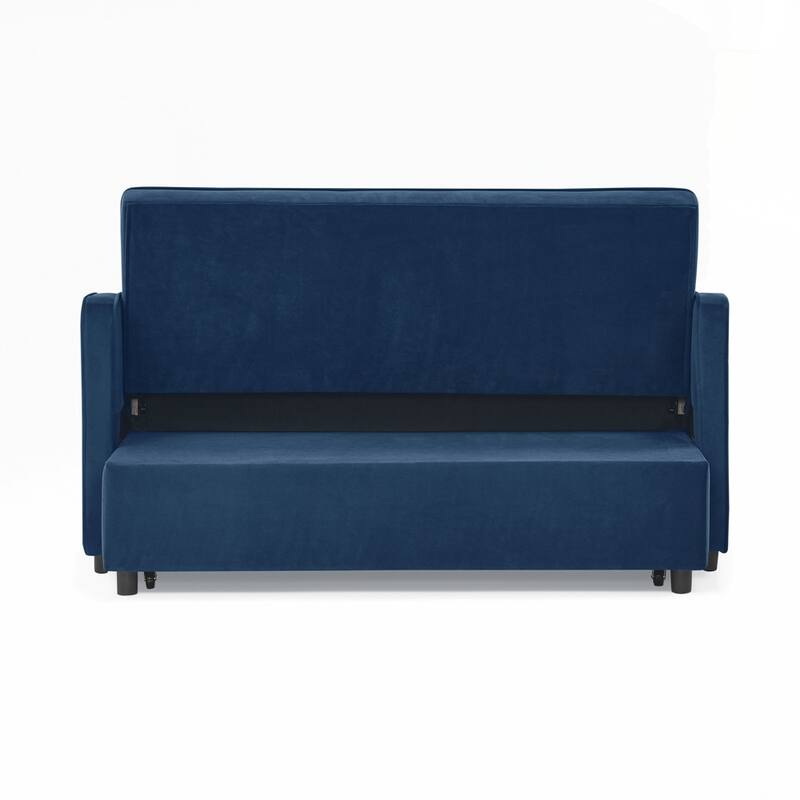Loveseats Sofa Bed with Pull-out Bed AND Adjsutable Back - 2 Seat