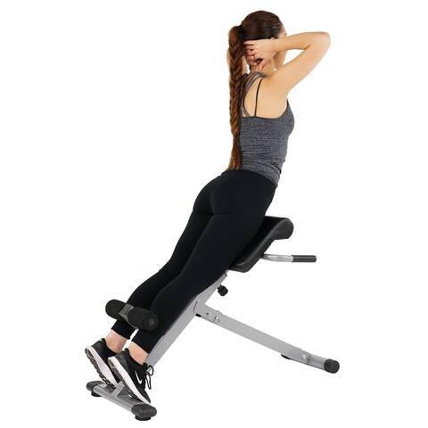 Sunny Health & Fitness 45-degree Hyperextension Roman Chair