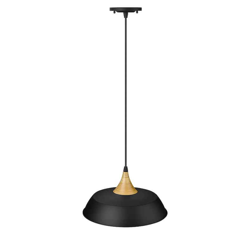 Millennium Lighting Arlo 1 Light Metal Pendant Fixture