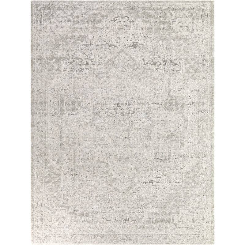 Iacchus Distressed Traditional Area Rug