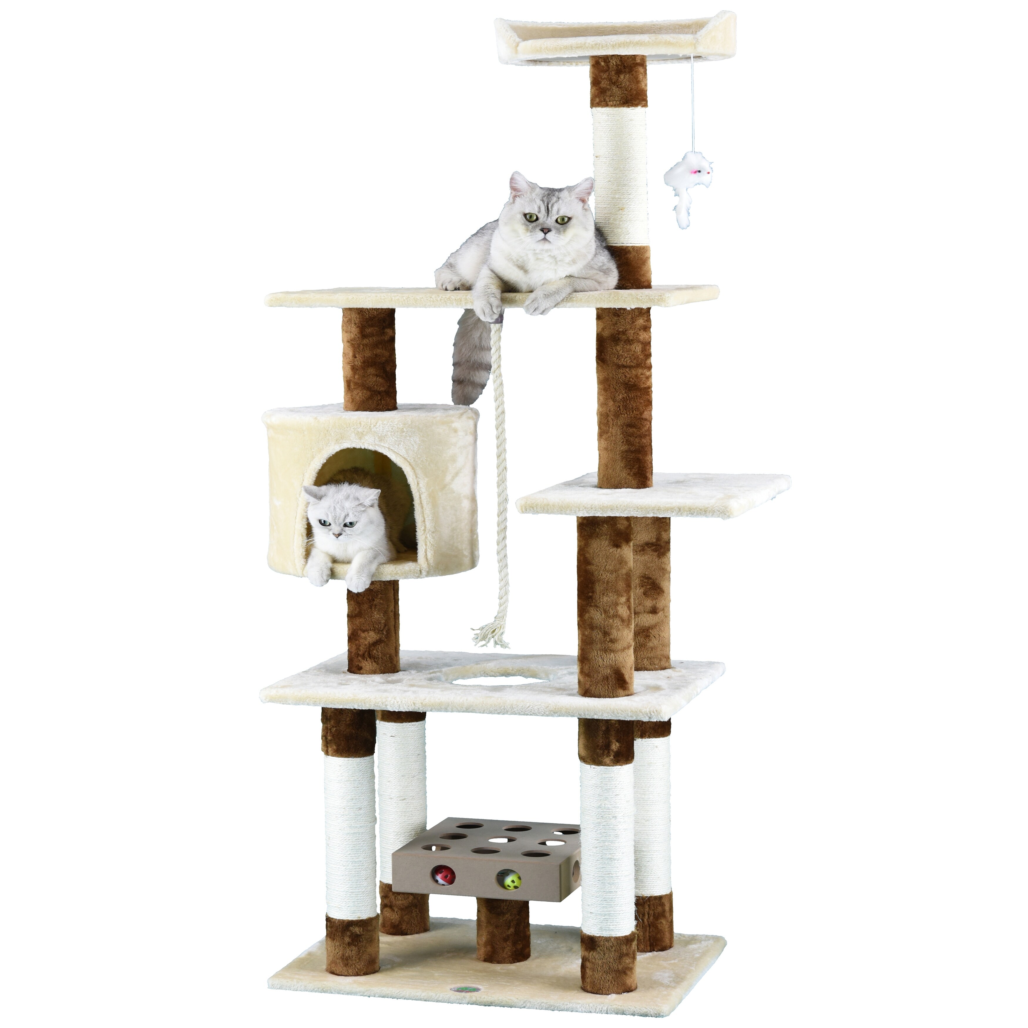 Iq box cat tree outlet