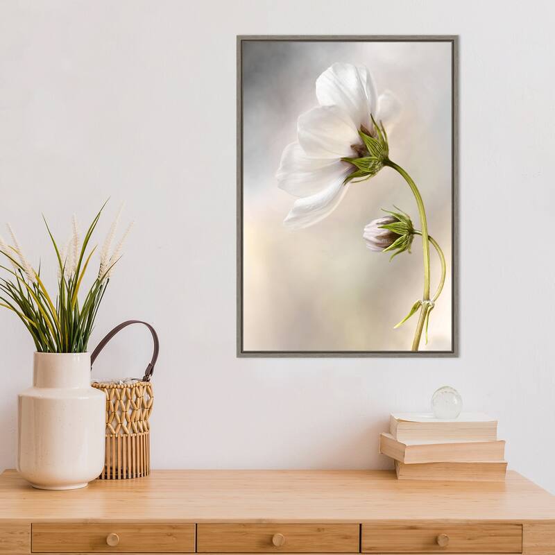 Heavenly Cosmos by Mandy Disher Framed Canvas Art - Bed Bath & Beyond ...