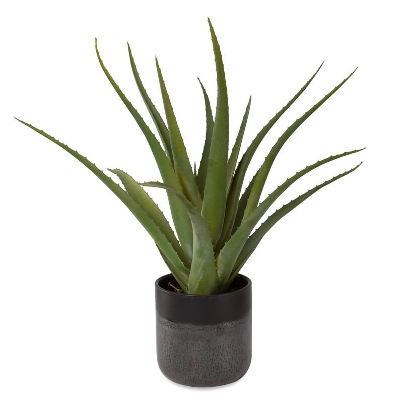 Glazed Ceramic Aloe Vera Planter - 19" - Gray