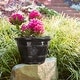 preview thumbnail 11 of 25, Southern Patio Modesto Handcrafted Composite Planter