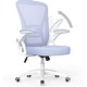 preview thumbnail 44 of 48, Ergonomic Office Mid Back Chair - N/A Purple