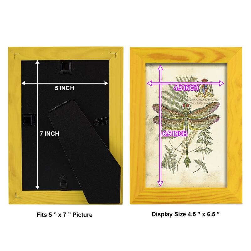 Regal Dragonfly III (PP) -Framed Print w/glass-Cherry Red