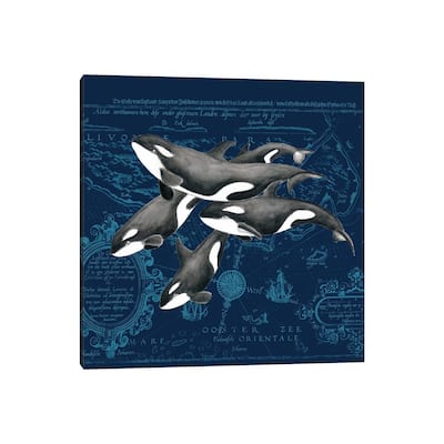 iCanvas "Orca Whale Pod Vintage Map Indigo" by Seven Sirens Studios Canvas Print