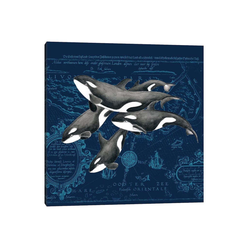 iCanvas "Orca Whale Pod Vintage Map Indigo" by Seven Sirens Studios Canvas Print
