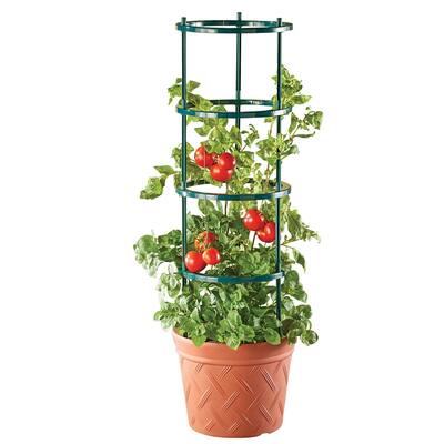 Terracotta Colored Planter with Plant Support - 13.78 x 45.08 x 13.78