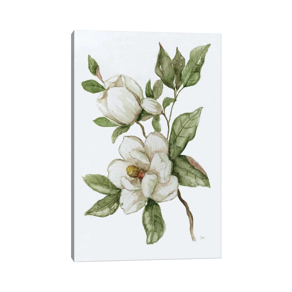 iCanvas "Magnolia Morning II" by Nan Canvas Print