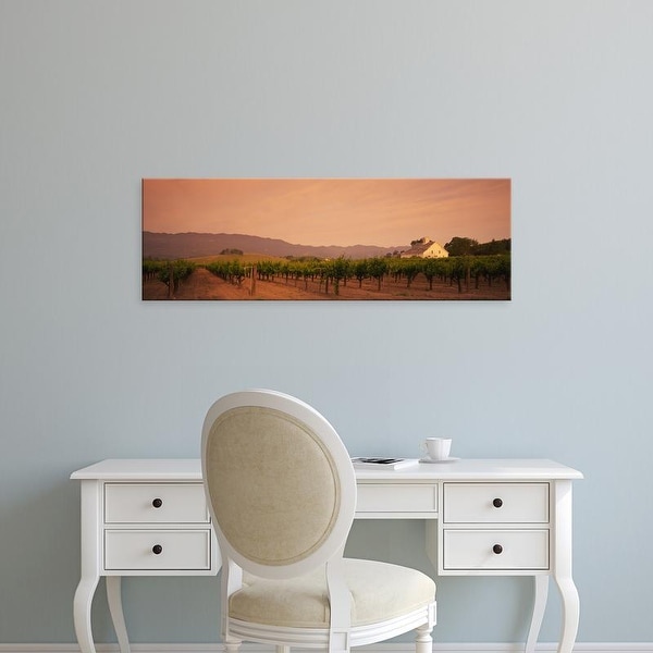 Easy Art Prints Panoramic Images's 'Trees In A Vineyards, Napa Valley, California, USA' Premium Canvas Art