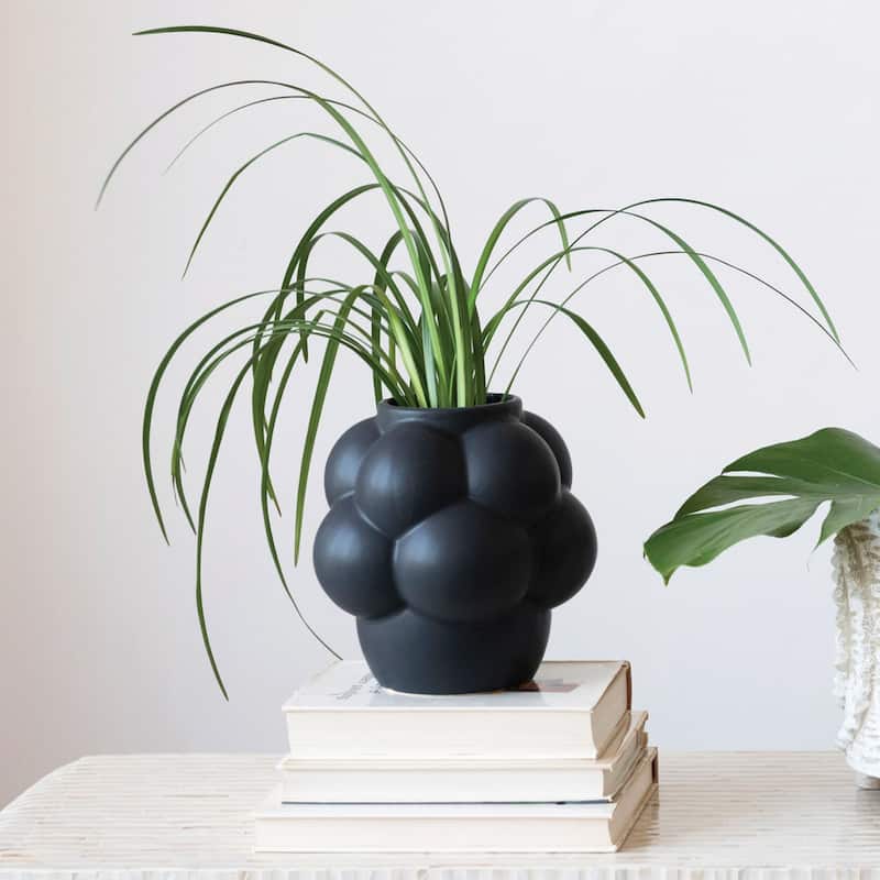 Stoneware Vase with Raised Dots and Matte Finish - 8.1"L x 8.1"W x 8.3"H
