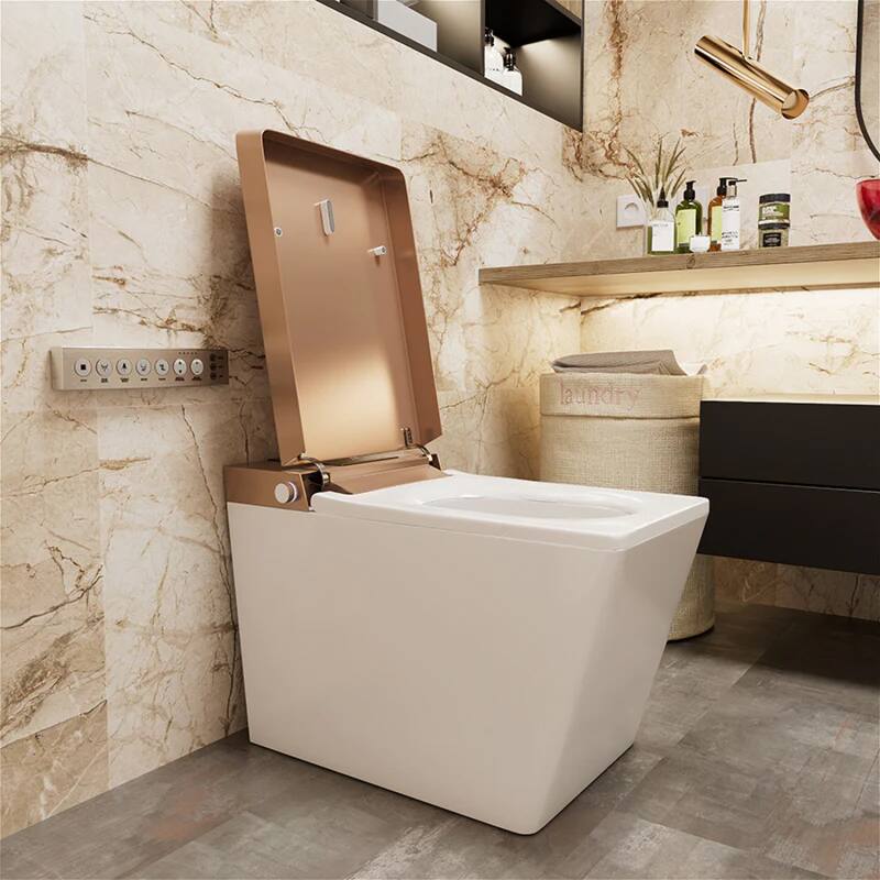 Giving Tree Smart Square One-Piece Floor Toilet with Remote Control and Automatic Cover - N/A