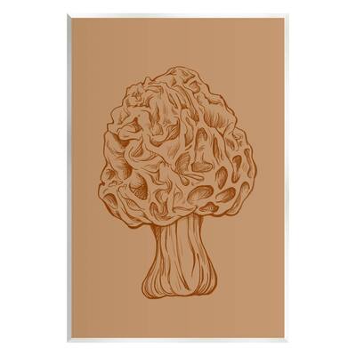 Stupell Industries Organic Mushroom Detailed Study Wall Plaque Art, Design by Ziwei Li