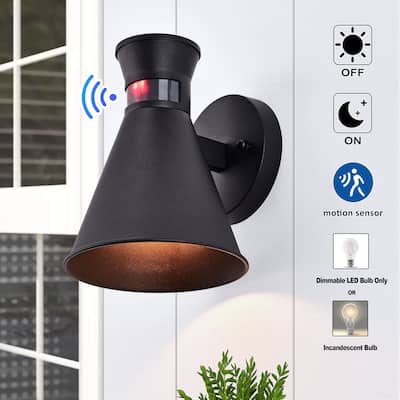 1-light Motion Sensor and Dusk to Dawn Outdoor Wall Sconce