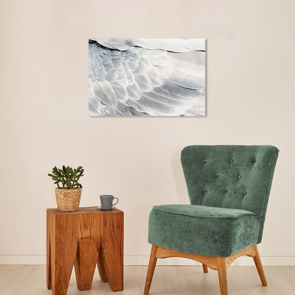 Wynwood Studio Canvas Animals Dove Back Gray and Silver Modern & Contemporary Wall Art Canvas Print