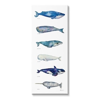 Stupell Maritime Sea Life Ocean Whales Narwhal Chart Diagram Canvas ...