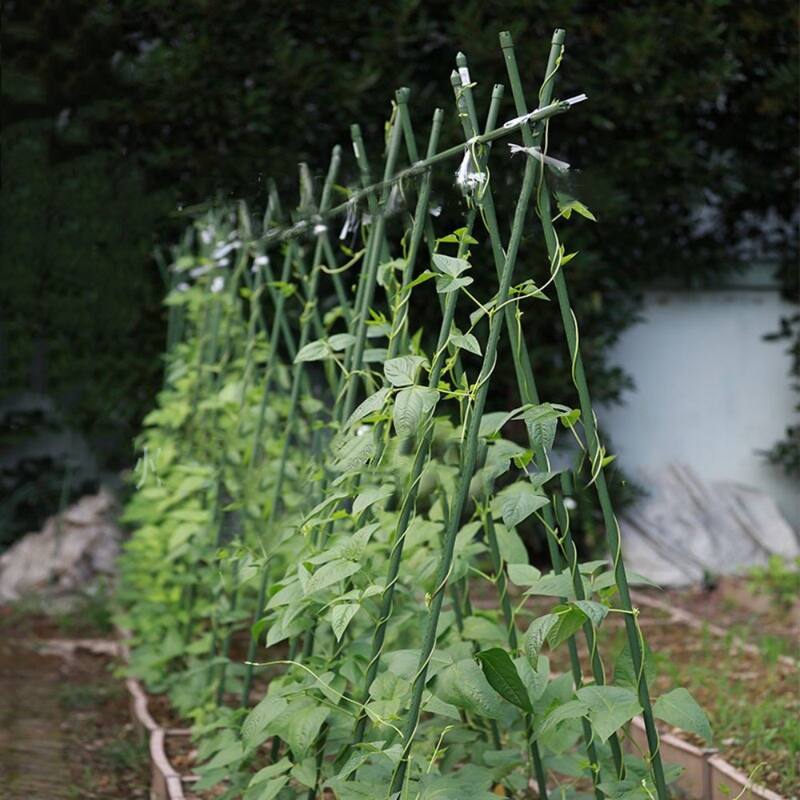 Agfabric 5 ft. H Growing Support Trellis for Climbing Plants Vegetables