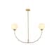 Option Brass