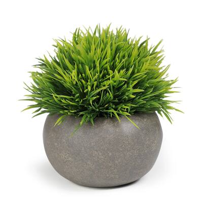Artificial Boxwood Plant With Cement Pot in Gray