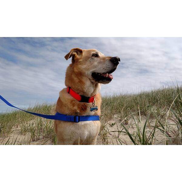 Shop The Walk Your Dog With Love The Neo All In Wonder Dog Harness With The Leash Built Right In Overstock 16812454