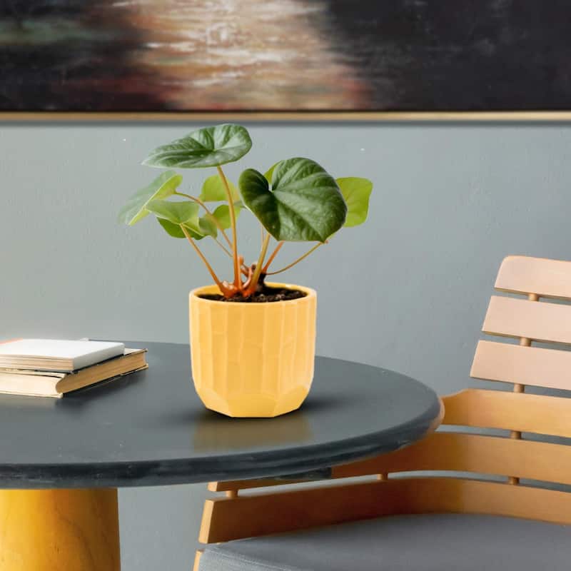 Golden Bee Ceramic Cache Pot- Short