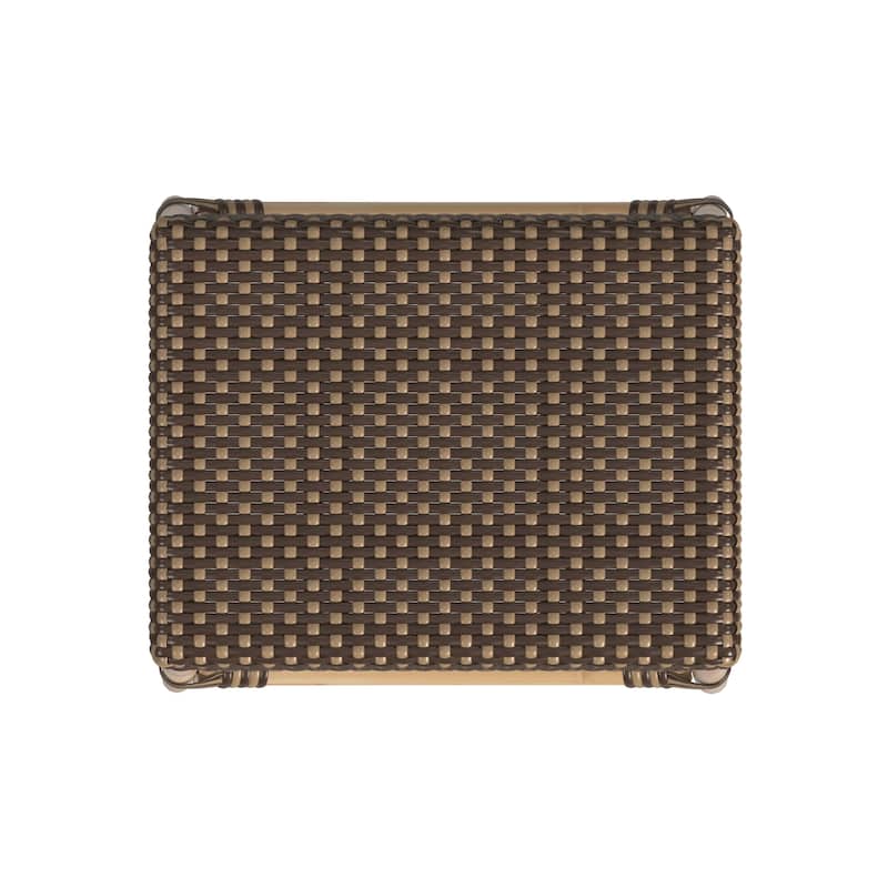 Robias 24.5" Rattan Rectangular Counter Stool