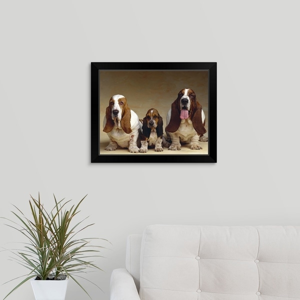 "Family portrait of Basset Hounds" Black Framed Print