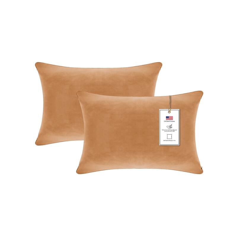 A1HC Pack of 2 Velvet Throw Pillow Insert, Hypoallergenic Down Alternative Fill