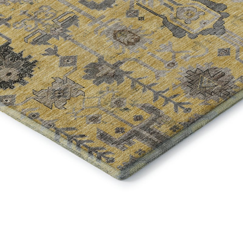 Premium Washable Super Soft Traditional Global Mayfield Rug