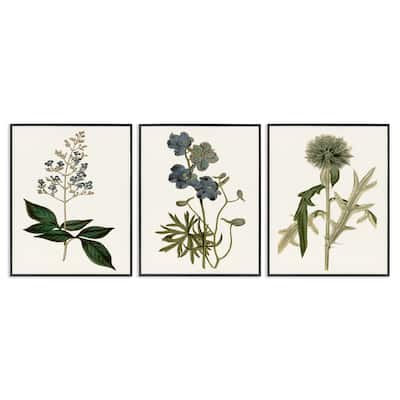 Stupell Vintage Blue Botanical Flowers on Beige, 3pc Multi Piece Framed Wall Art Set