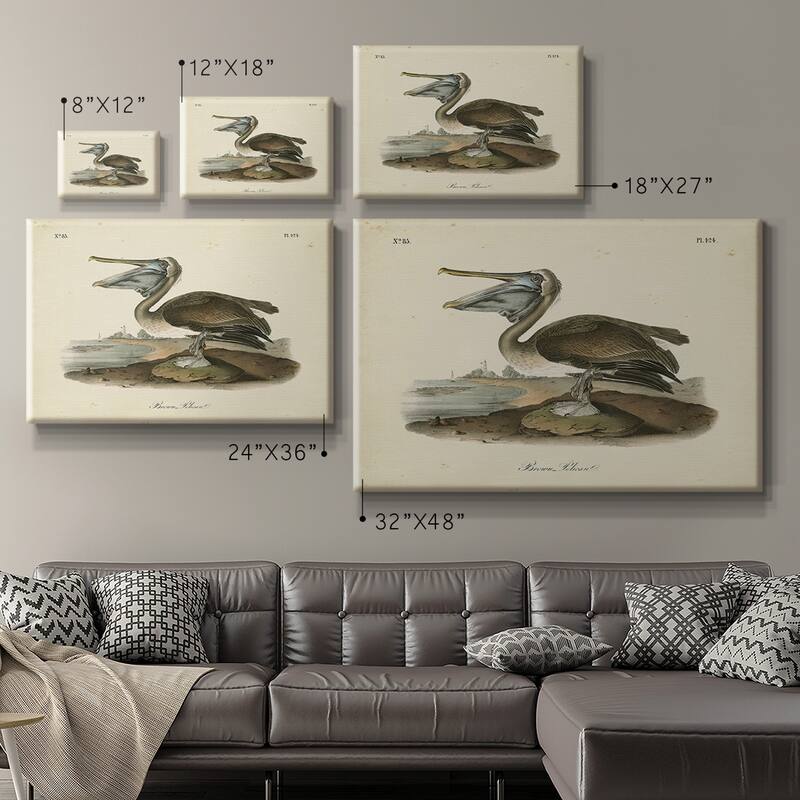 Audubons Brown Pelican Premium Gallery Wrapped Canvas - Ready to Hang