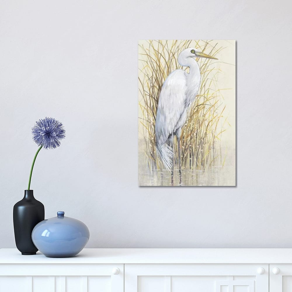 iCanvas "Wading I" by Tim OToole Canvas Print