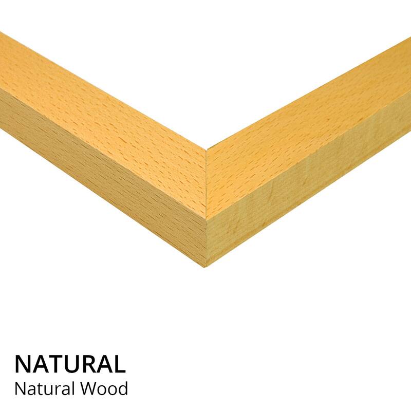 iCanvas "Koi" by Theo Beck