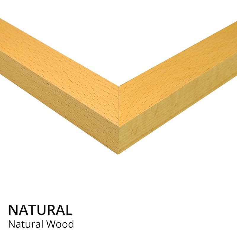 iCanvas "Phantom II" by Alexis Marcou