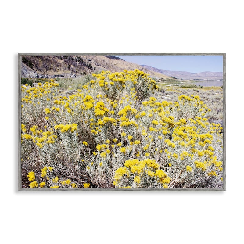 Stupell Yellow Flowers in Arid Meadow Framed Giclee Art Design By Gemma Bardot - 24 x 16 - Grey