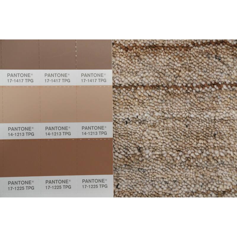 Hand Knotted Oriental 100% Wool Carpet Tribal Animal Pictorial Brown Gabbeh Area Rug - 8' 11'' X 8' 11''