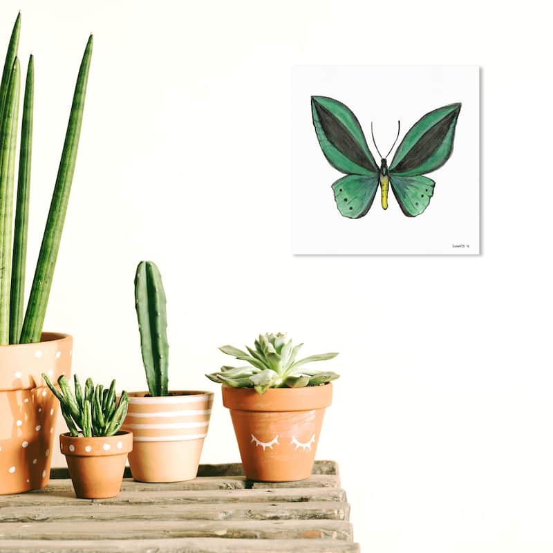 Wynwood Studio Canvas Animals Green Butterfly Green and Emerald Tropical Wall Art Canvas Print - 12 x 12
