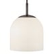preview thumbnail 1 of 9, Hinkley Lighting 45097 Willa 12" Wide Pendant Black Oxide
