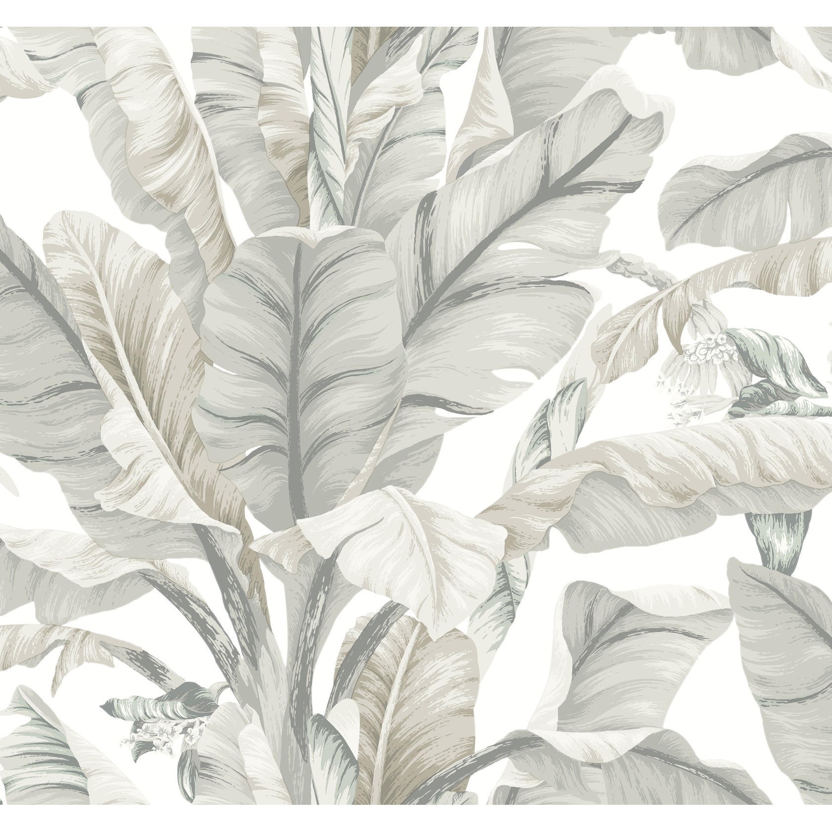 Inspired by Color Banana Leaf White & Cream Wallpaper