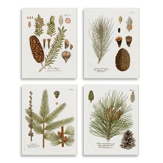 Stupell Vintage Forest Pine Illustrated Study Green Brown Plants 4pc Multi Piece Wood Wall Art Set - White