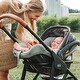 preview thumbnail 6 of 8, Chicco KeyFit 35 ClearTex Infant Car Seat, Cove