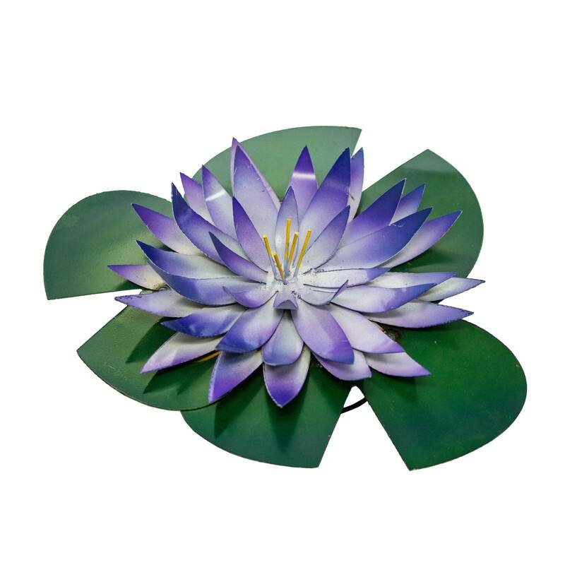 Large Water Lily