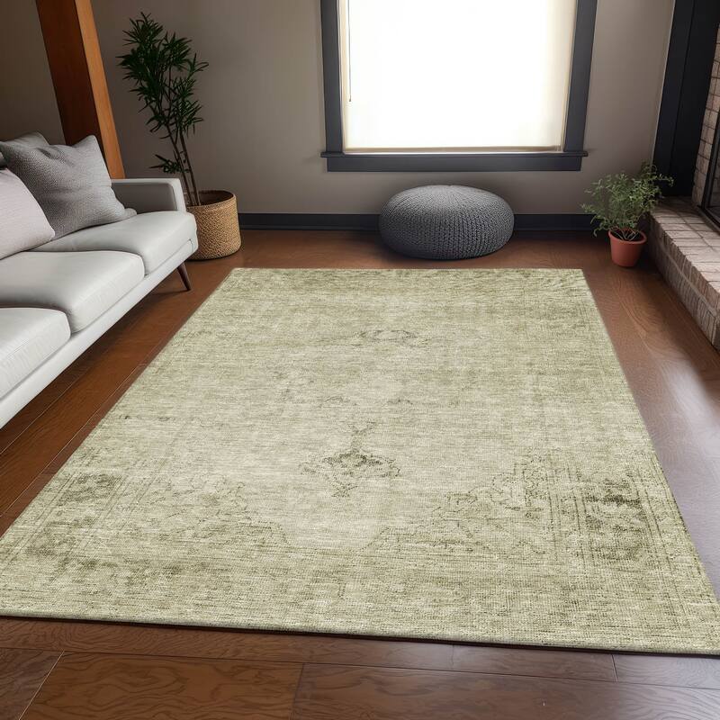 Premium Washable Super Soft Vintage Distressed Mayfield Rug - Beige - 2' 6" x 3' 10" - Rectangle