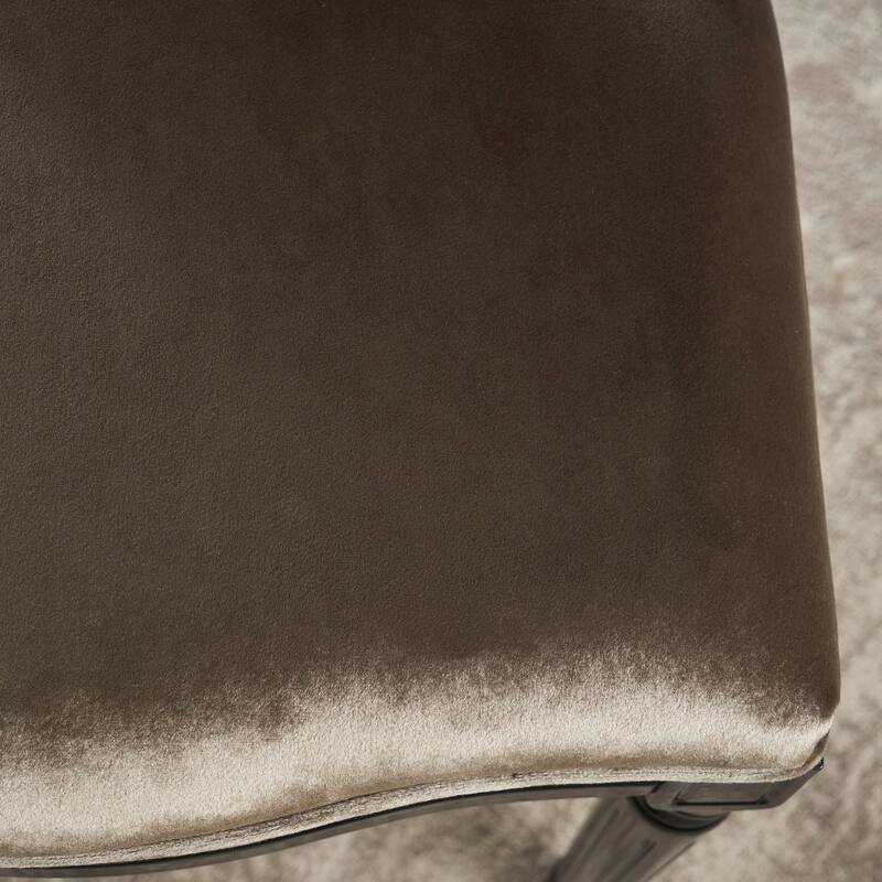 Phinnaeus Contemporary Velvet Dining Chairs (Set of 2) by Christopher Knight Home